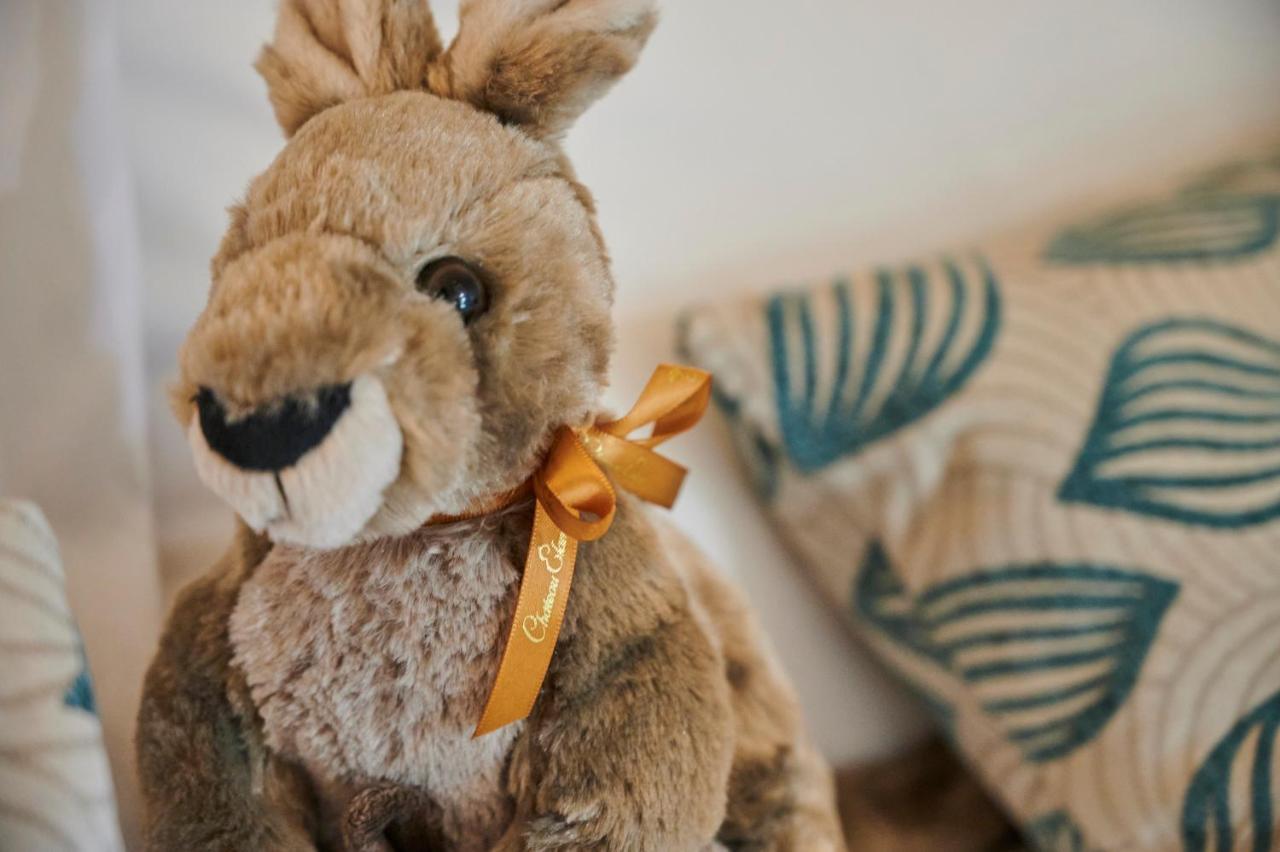 ชาเตออีลานแอดเดอะวินเทจฮันเตอร์วัลเลย์ Hotel โพโคลบิน ภายนอก รูปภาพ A stuffed toy