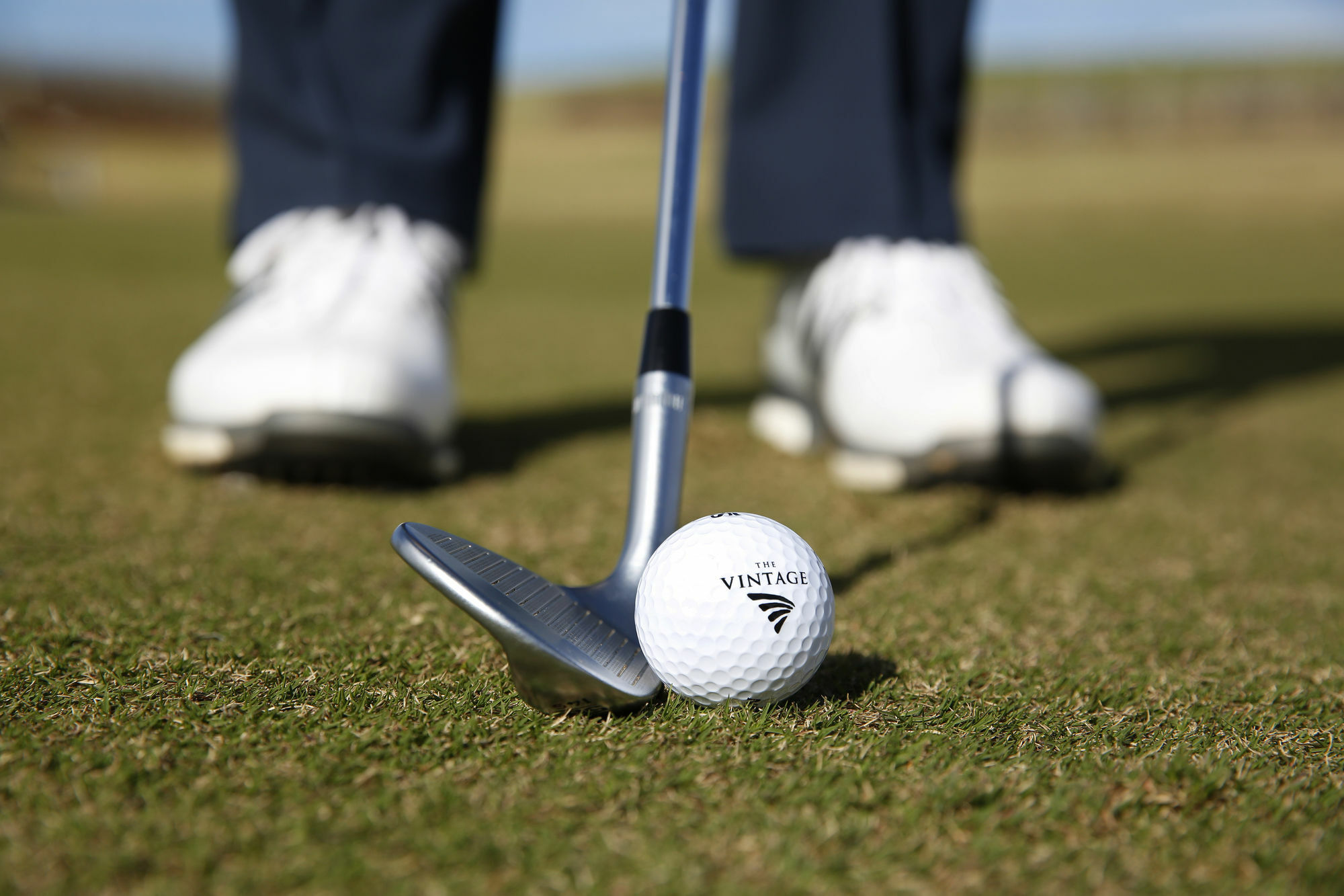 ชาเตออีลานแอดเดอะวินเทจฮันเตอร์วัลเลย์ Hotel โพโคลบิน ภายนอก รูปภาพ Golf ball and club