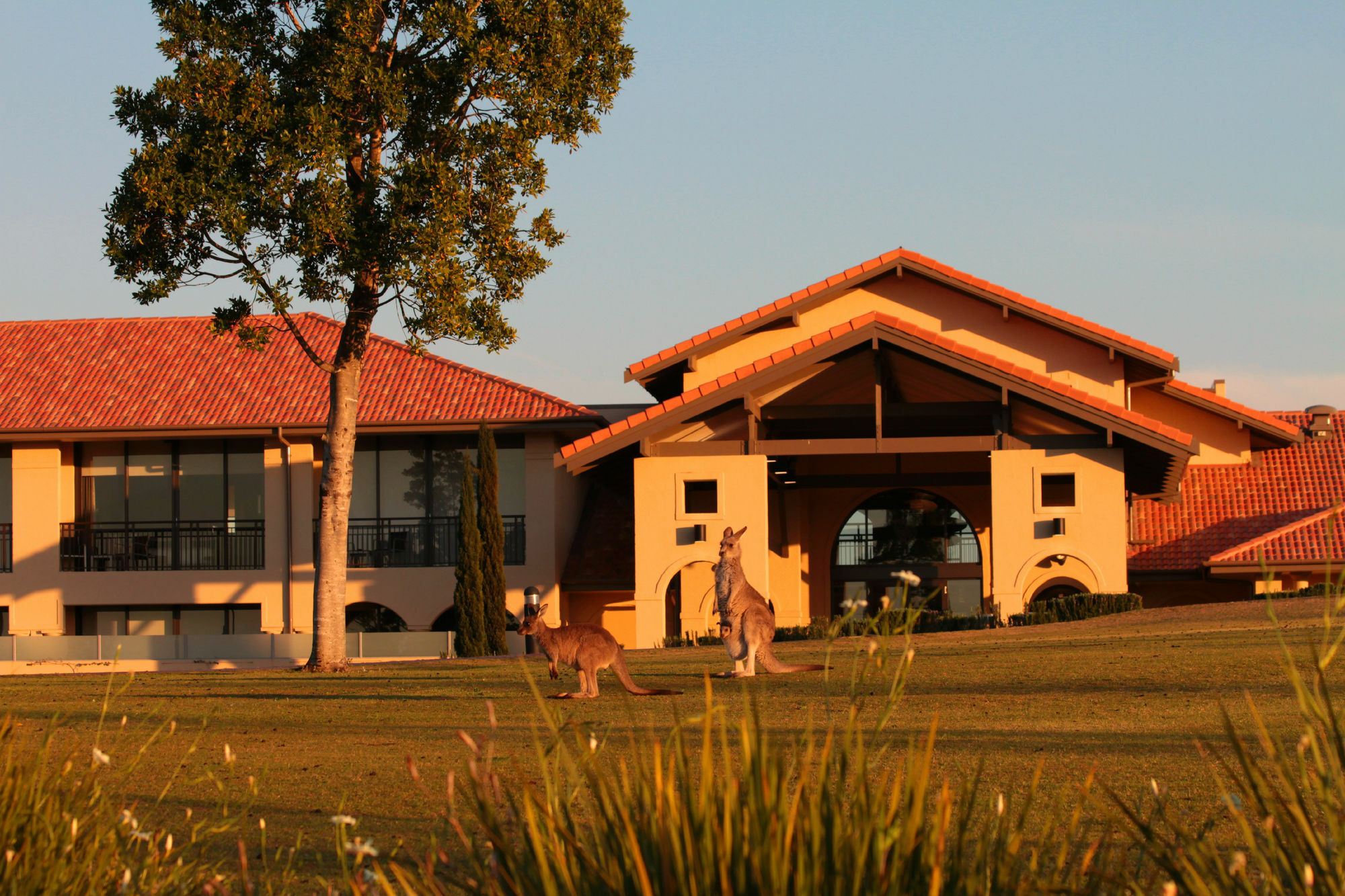 ชาเตออีลานแอดเดอะวินเทจฮันเตอร์วัลเลย์ Hotel โพโคลบิน ภายนอก รูปภาพ Clubhouse at the Sanctuary Golf Resort